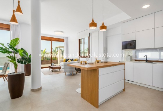 New Build - Villa  - Vera - Vera Playa