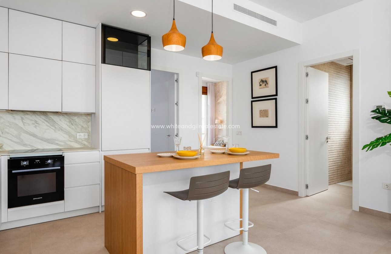 New Build - Villa  - Vera - Vera Playa