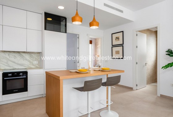 New Build - Villa  - Vera - Vera Playa