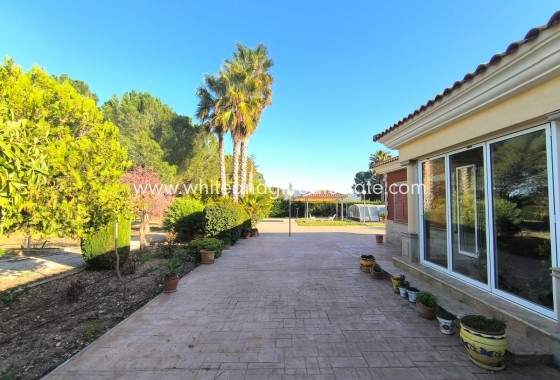 Sale - Villa  - Yecla - Edge of town