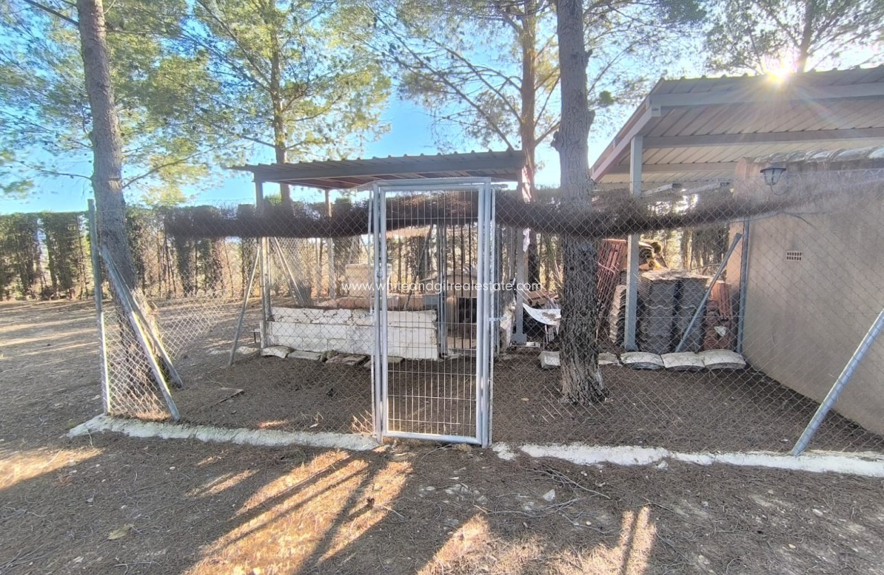 Sale - Villa  - Yecla - Edge of town