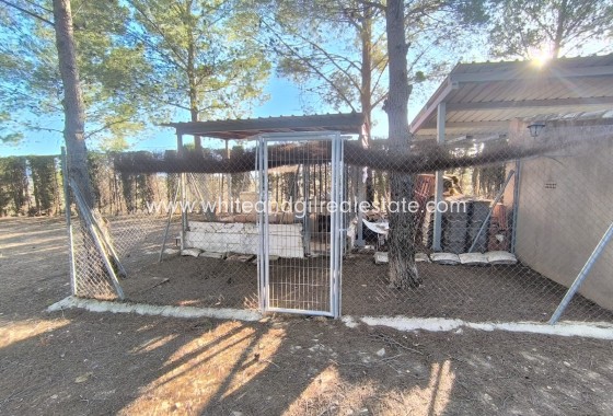 Sale - Villa  - Yecla - Edge of town