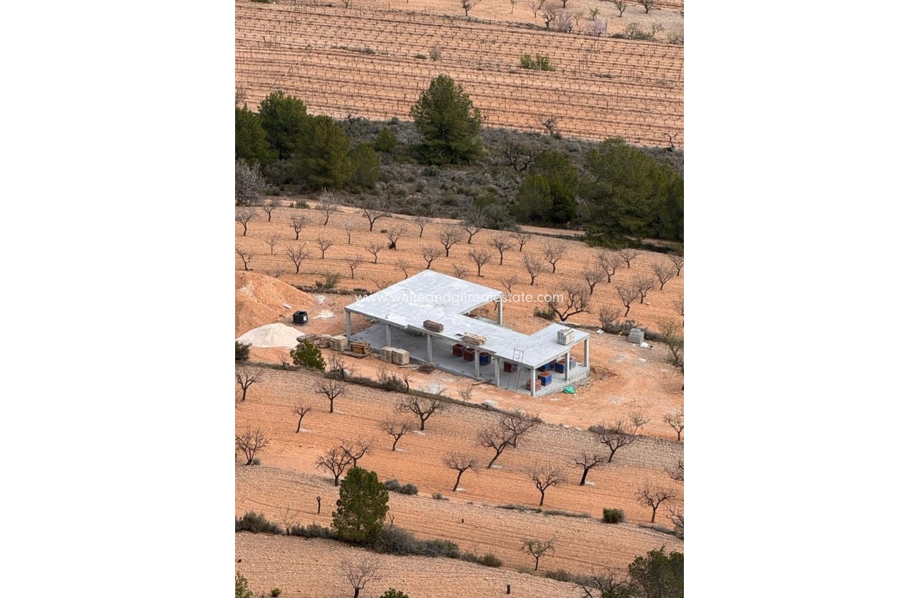 New Build - Villa  - La Romana