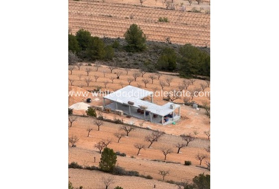 New Build - Villa  - La Romana