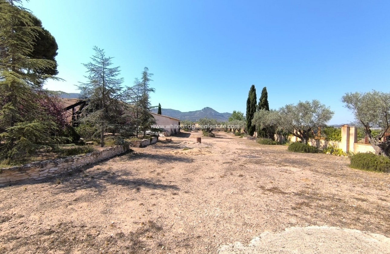 Sale - Country house  - Villena - Rural location