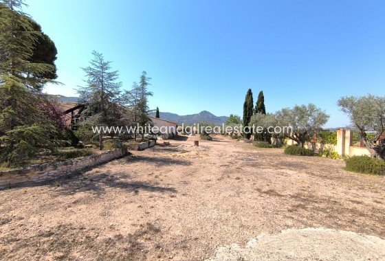 Sale - Country house  - Villena - Rural location