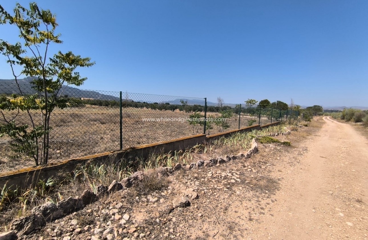 Sale - Country house  - Villena - Rural location