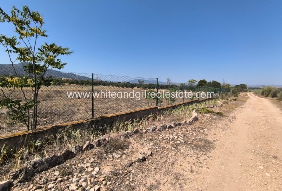 Sale - Country house  - Villena - Rural location