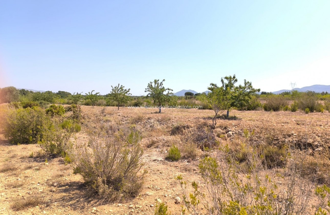 Sale - Country house  - Villena - Rural location