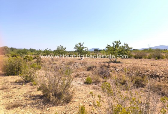 Sale - Country house  - Villena - Rural location
