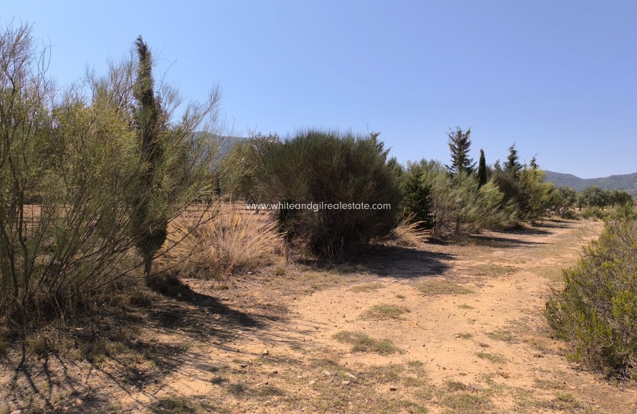 Sale - Country house  - Villena - Rural location