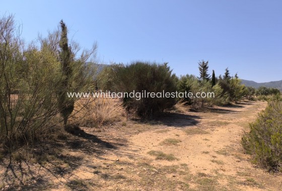 Sale - Country house  - Villena - Rural location