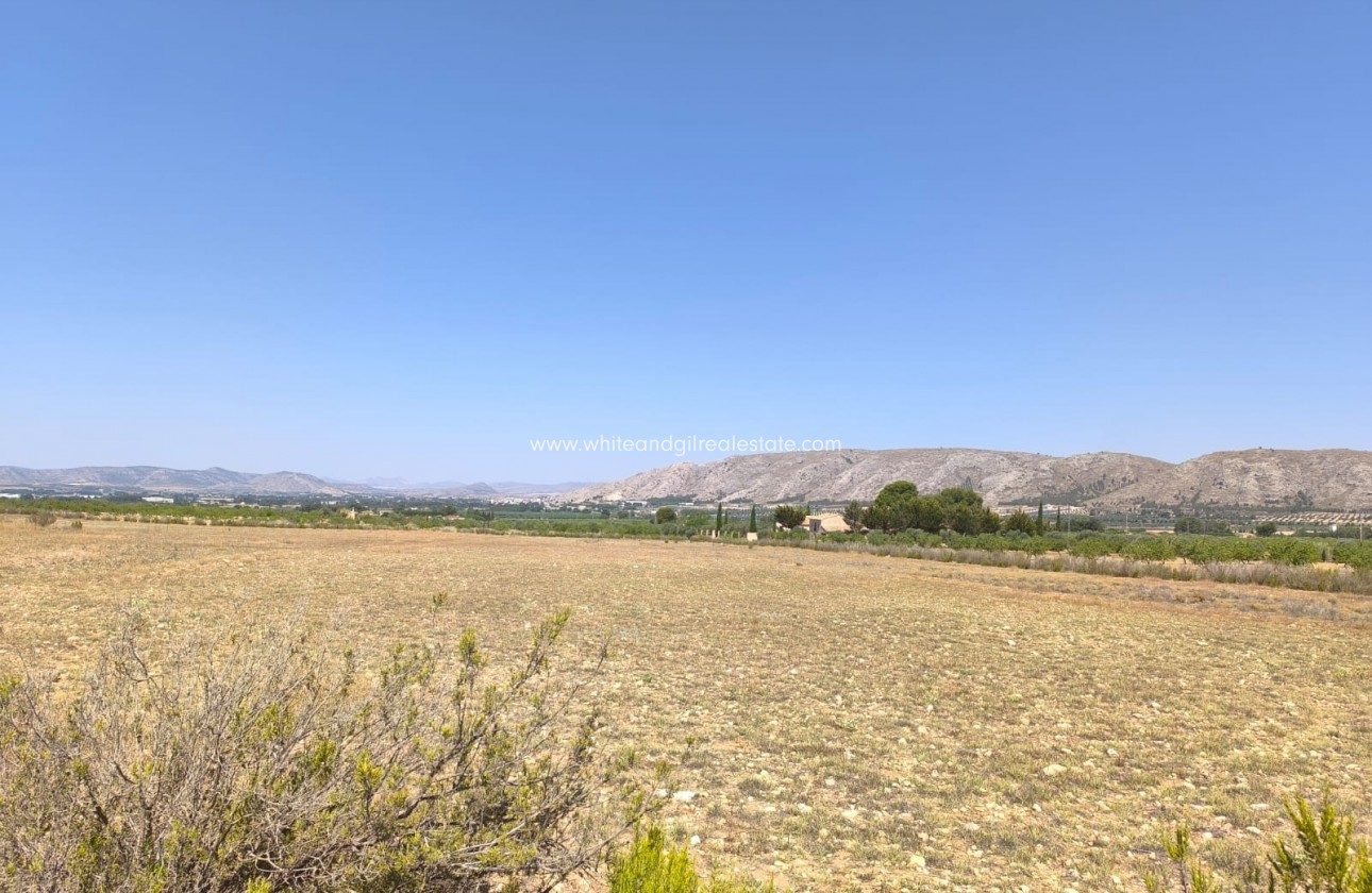 Sale - Country house  - Villena - Rural location