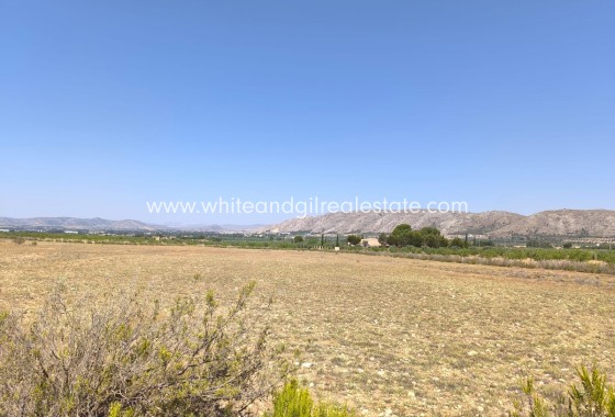 Sale - Country house  - Villena - Rural location