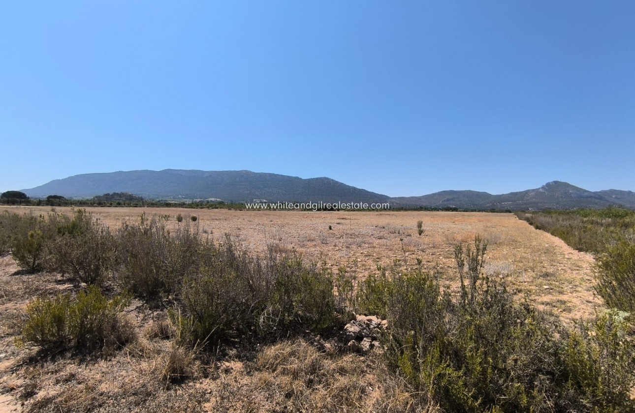 Sale - Country house  - Villena - Rural location