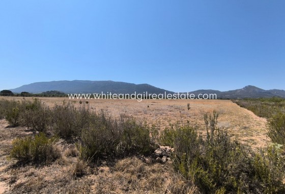 Sale - Country house  - Villena - Rural location