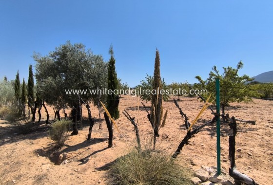 Sale - Country house  - Villena - Rural location