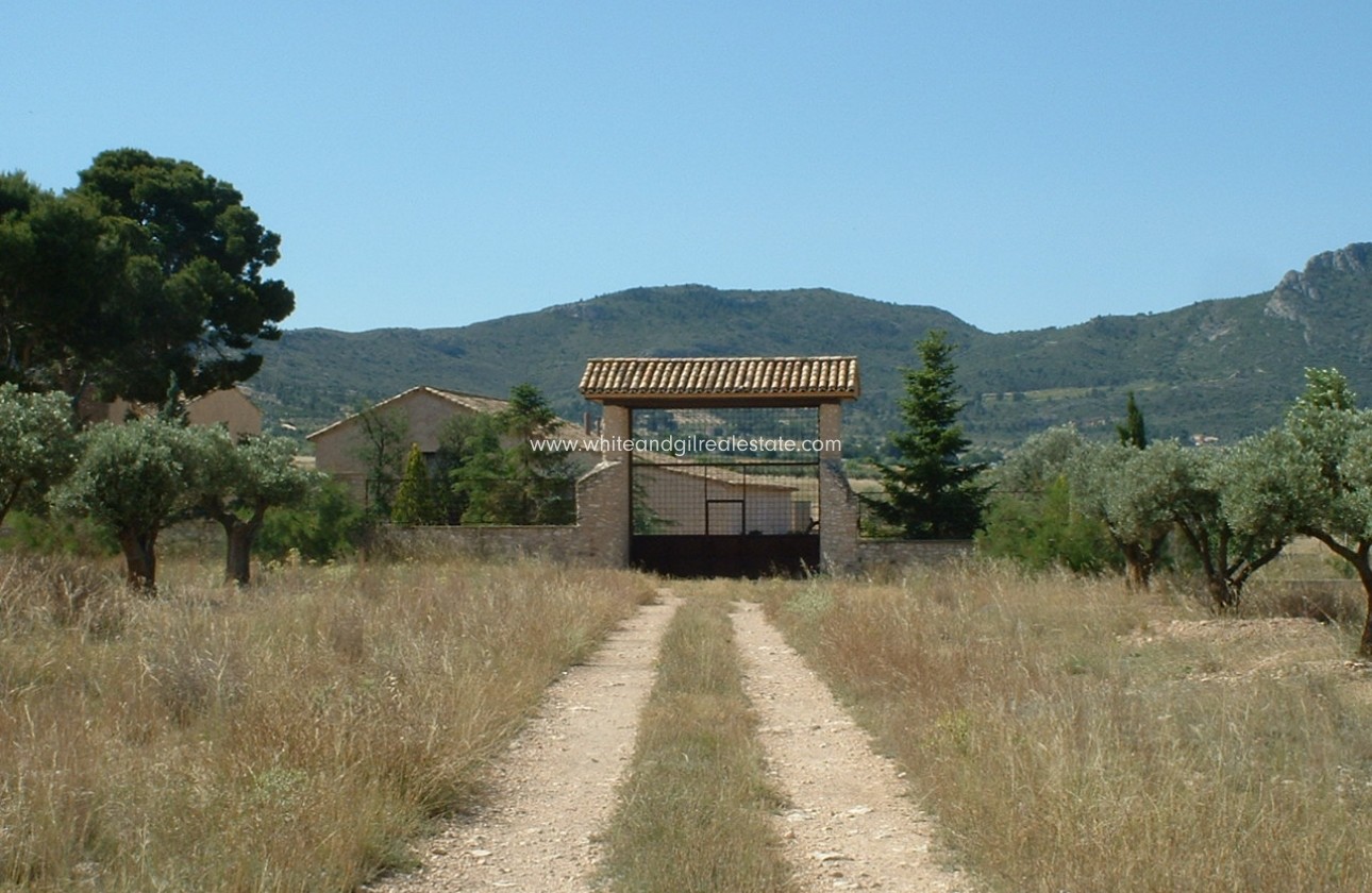 Sale - Country house  - Villena - Rural location