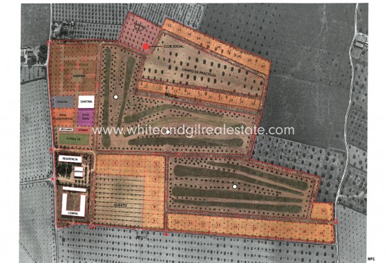 Sale - Country house  - Villena - Rural location