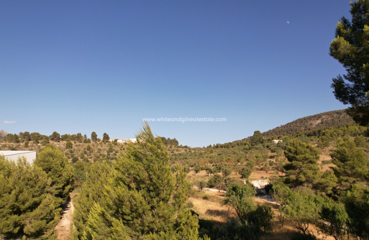 Venta - Finca - Alcoy