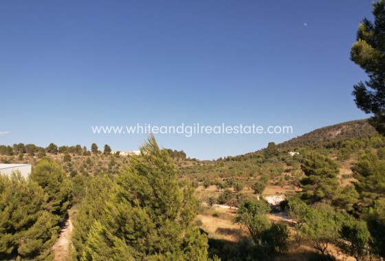 Venta - Finca - Alcoy