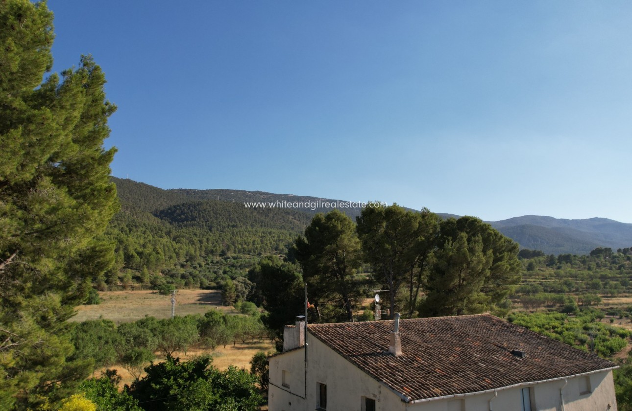 Venta - Finca - Alcoy