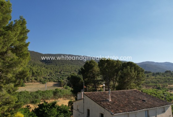 Venta - Finca - Alcoy