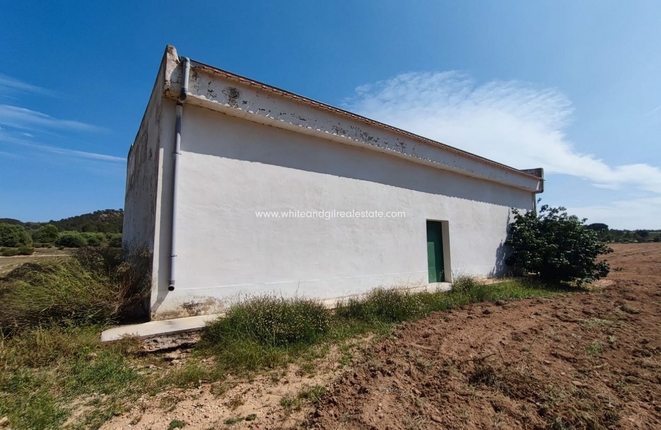 Sale - Country house  - Yecla - Rural location