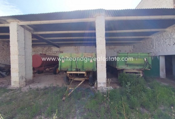 Sale - Country house  - Yecla - Rural location