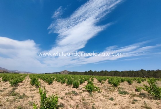 Sale - Country house  - Yecla - Rural location