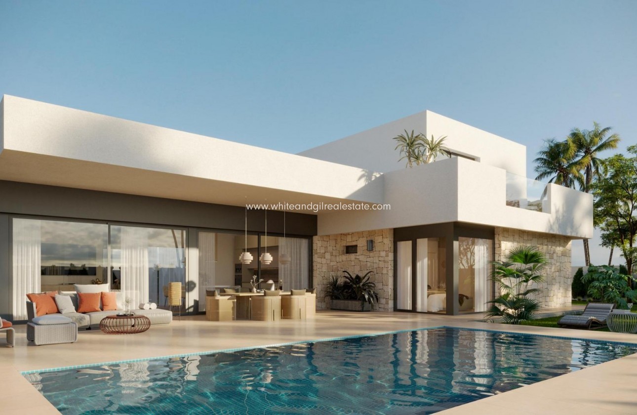 New Build - Villa  - Aspe - Poligono 19