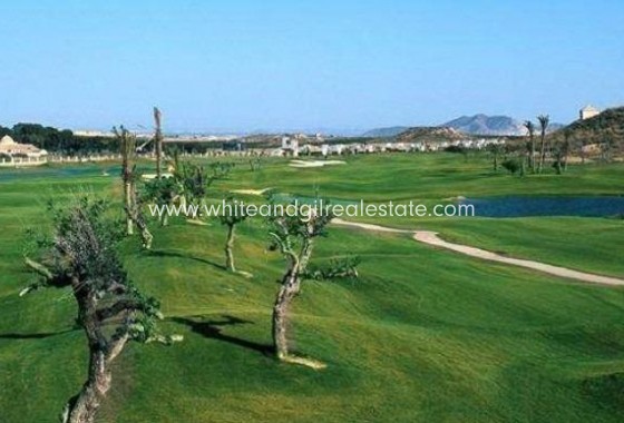 New Build - Villa  - Sucina - Peraleja Golf
