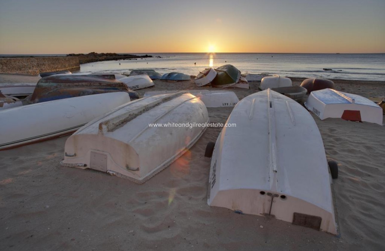 New Build - Villa  - Torrevieja - Sector 25