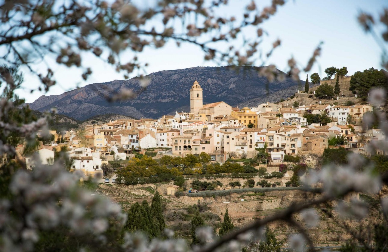 New Build - Villa  - Polop - Polop Hills