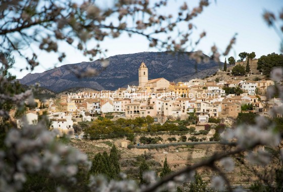 New Build - Villa  - Polop - Polop Hills