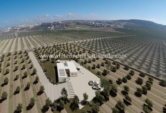 New Build - Villa  - Algorfa - Lomas De La Juliana