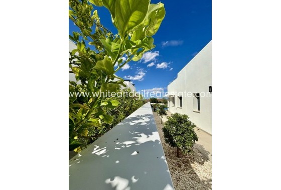 New Build - Villa  - Benijofar - Pueblo