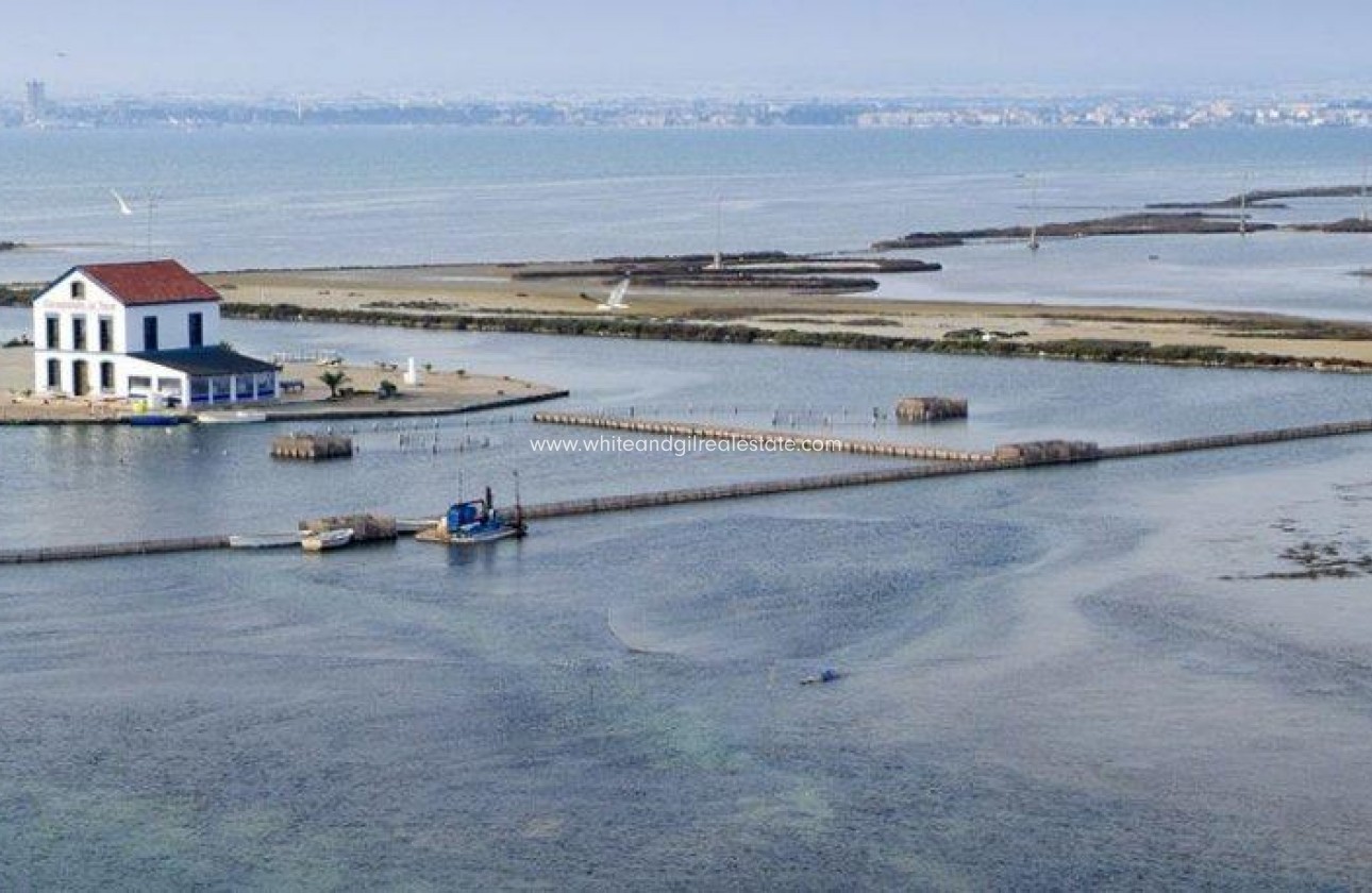 New Build - Villa  - San Pedro del Pinatar - Los Plazas