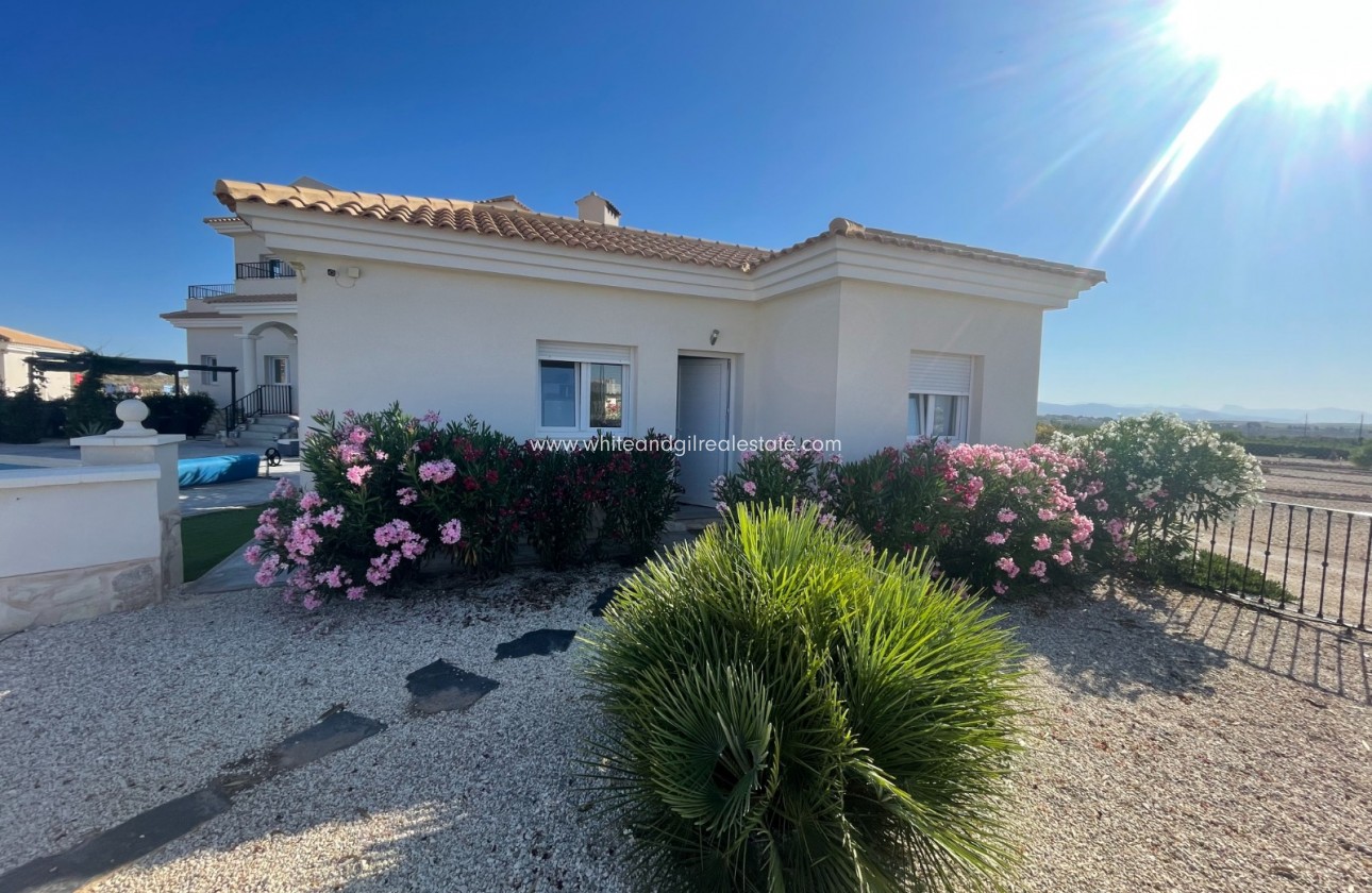 Sale - Villa  - Pinoso - Pinoso - El Pinós