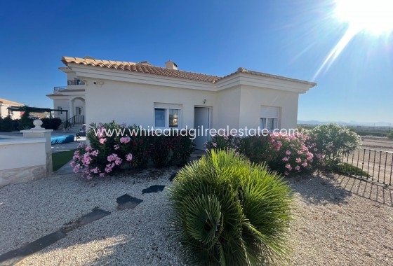 Sale - Villa  - Pinoso - Pinoso - El Pinós