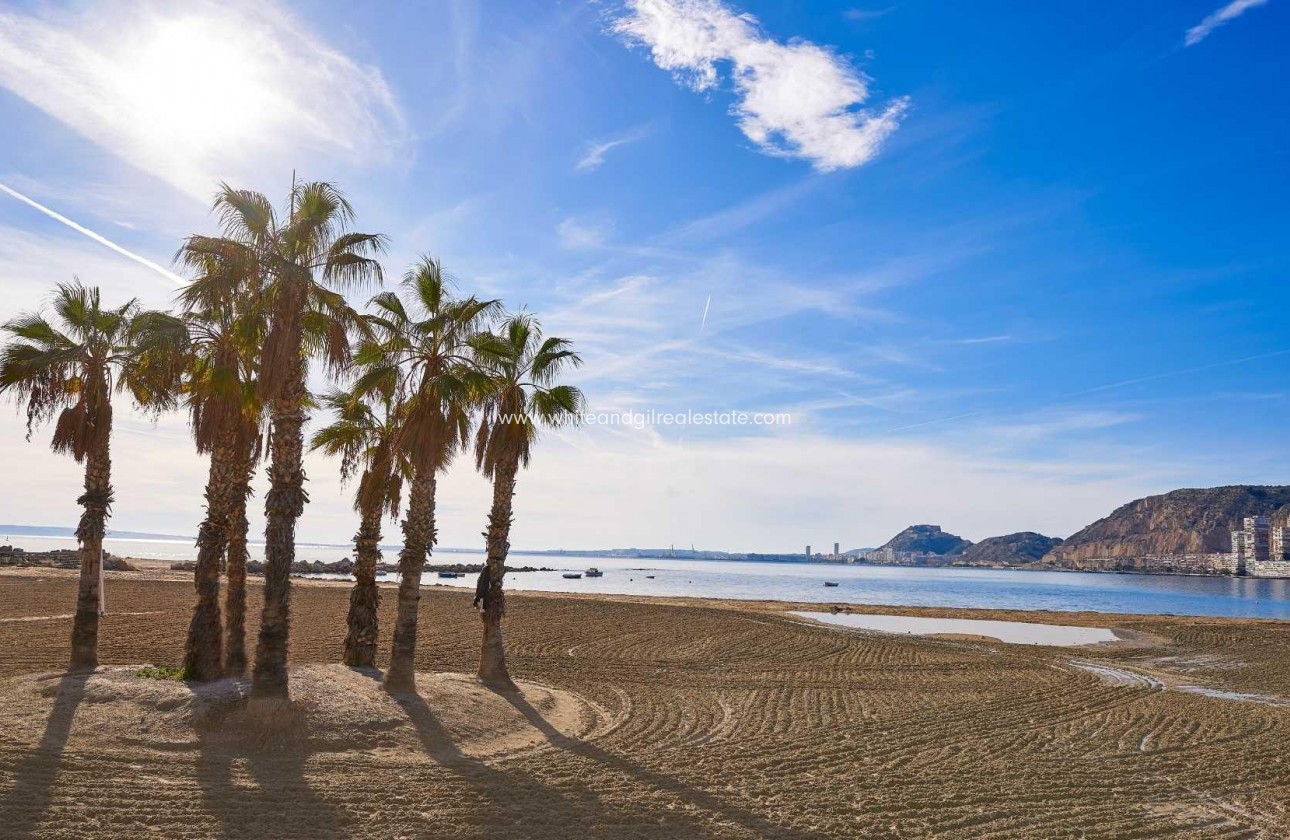 New Build - Villa  - Els Poblets - Partida Barranquets