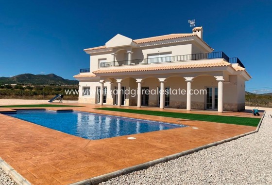 New Build - Villa  - Pinoso - Camino Del Prado