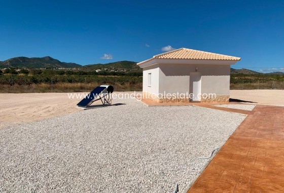 New Build - Villa  - Pinoso - Camino Del Prado
