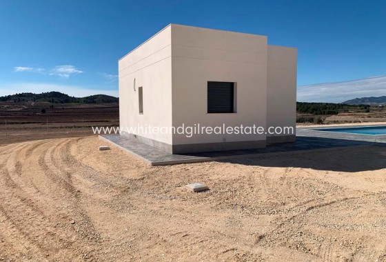 New Build - Villa  - Pinoso - Camino Del Prado