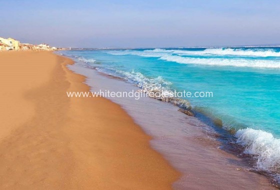 New Build - Villa  - Alicante - Urb. La Marina