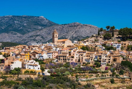 New Build - Villa  - Polop - PAU1