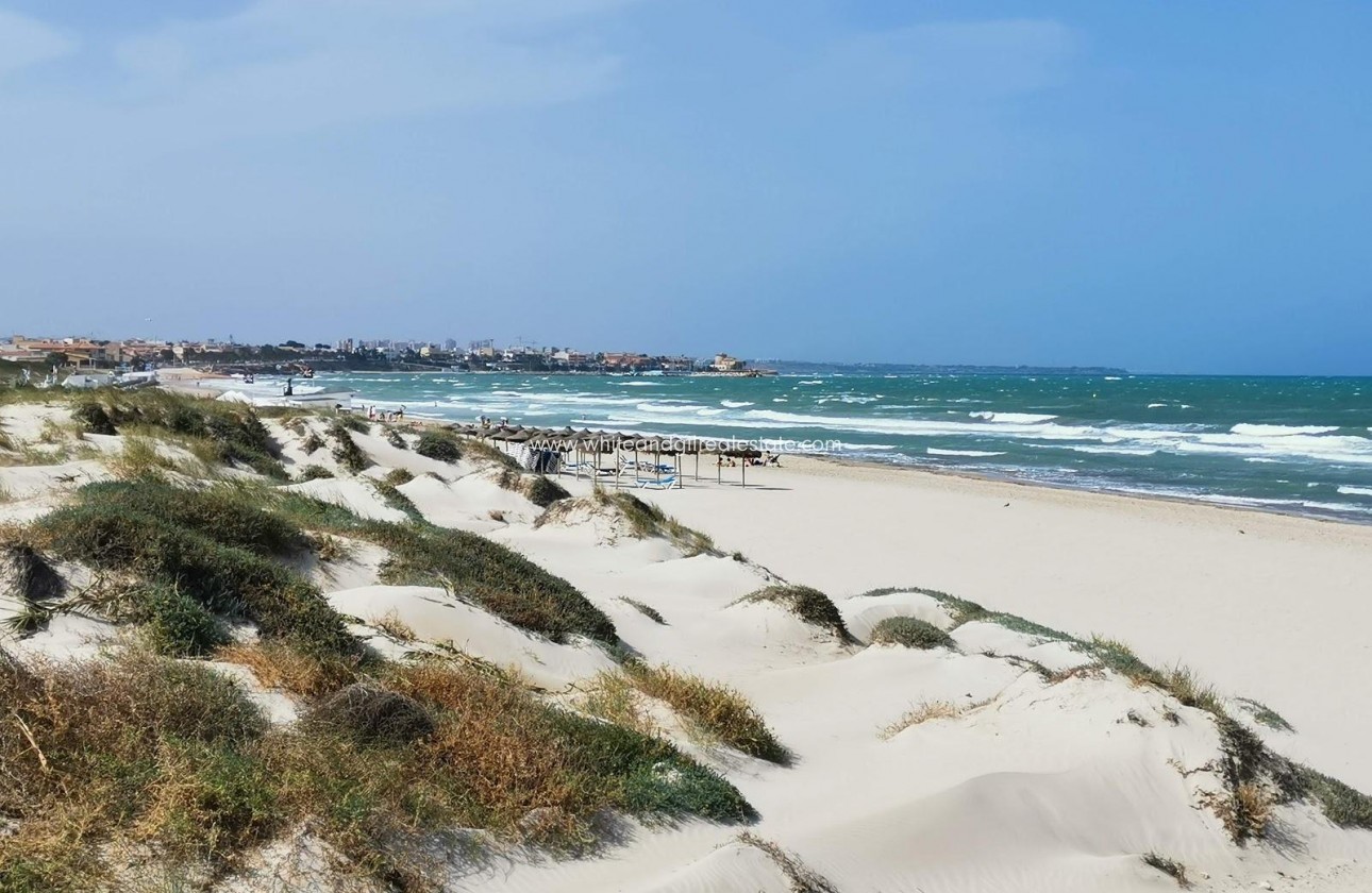 Nouvelle construction - Villa  - Pilar de la Horadada