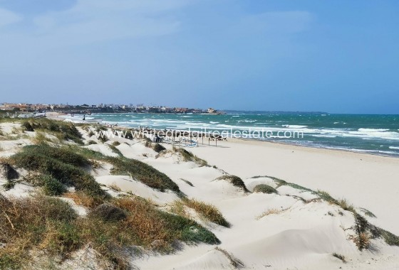 Nouvelle construction - Villa  - Pilar de la Horadada