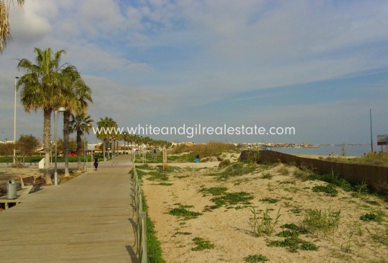 Nouvelle construction - Villa  - Pilar de la Horadada