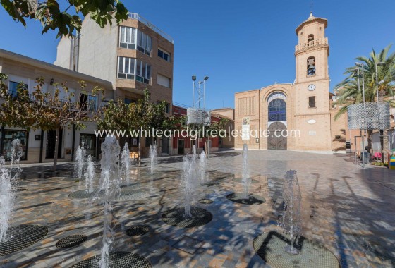 Nouvelle construction - Villa  - Pilar de la Horadada